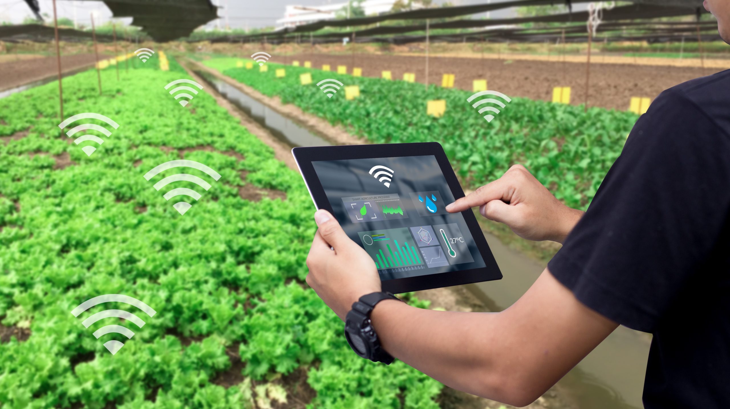 Mengenal Konsep Smart Farming Berbasis Iot Dalam Revolusi Industri | My ...