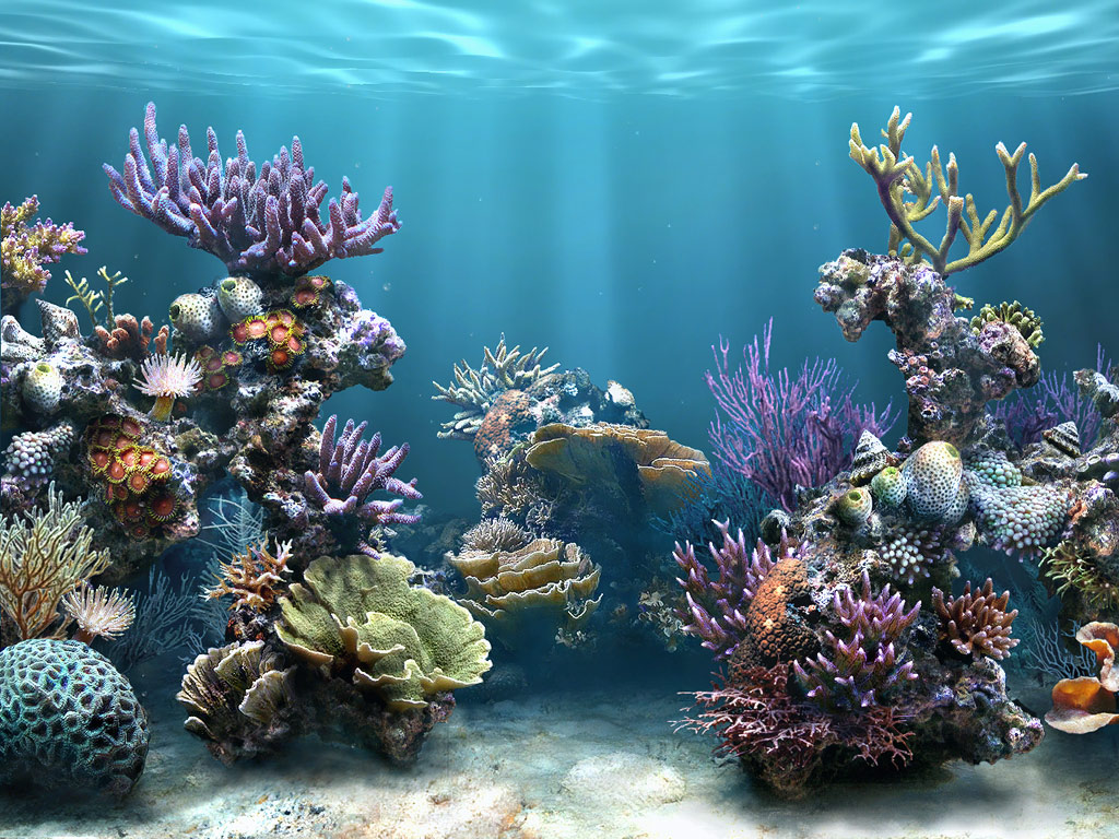 apakah manfaat biota laut bagi manusia